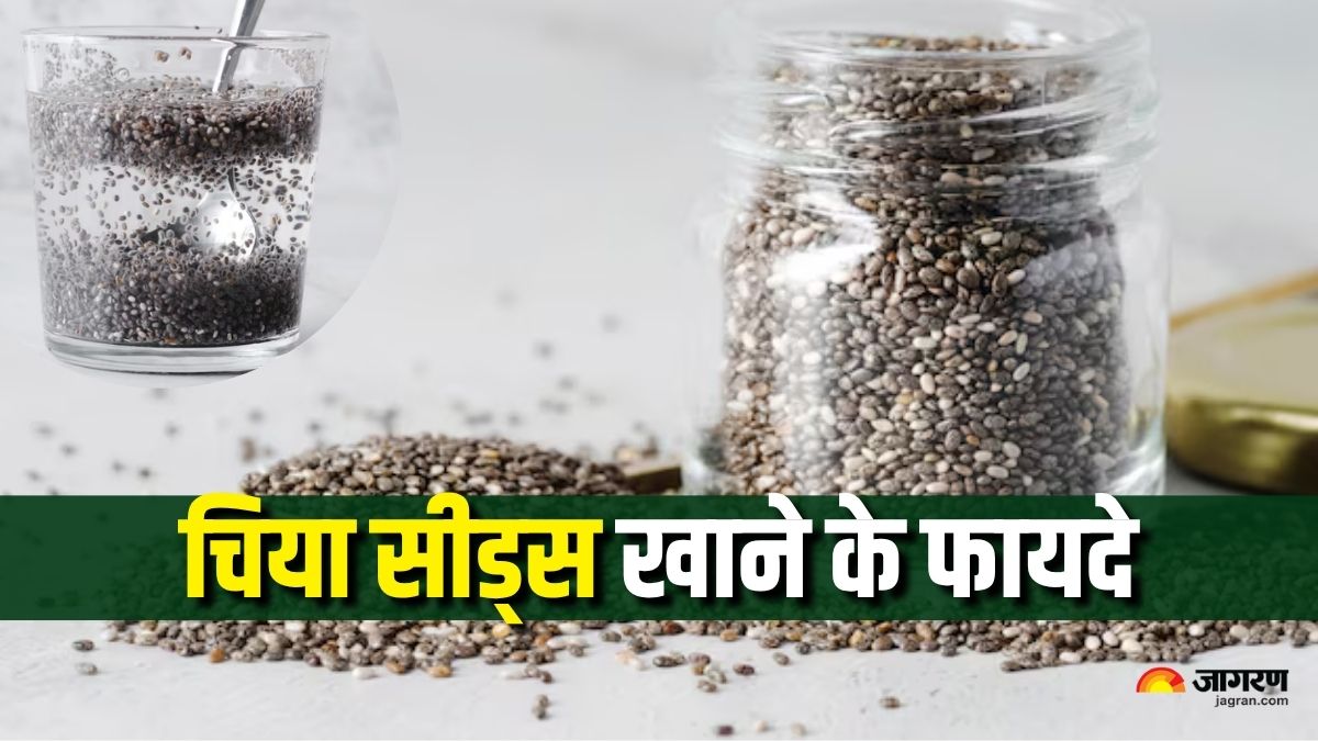 benefits of eating chia seeds for 14 days check details here