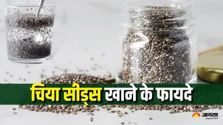 News Article Hero Image