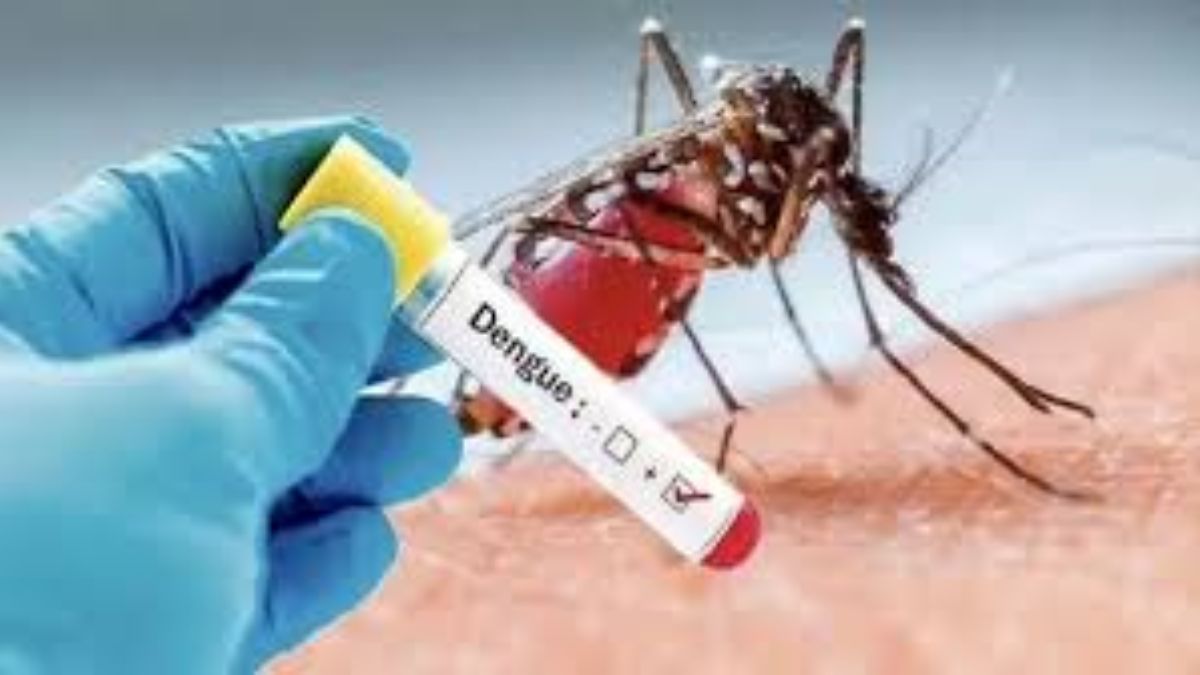 dengue outbreak 19 cases trigger hospital launch in up district