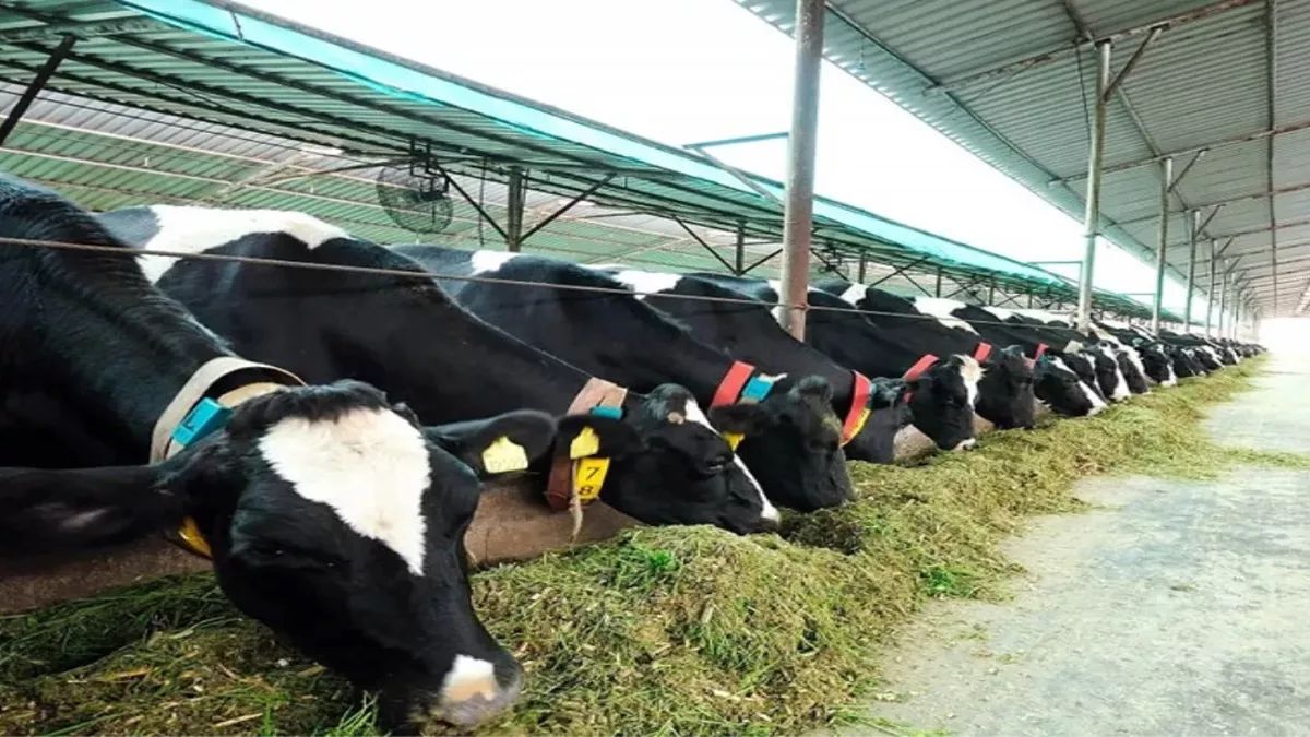 up to train 165 lakh animal farmers for one trillion economy