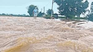 punjab flood control ravi and sutlej river desilting project start 87 sites selected