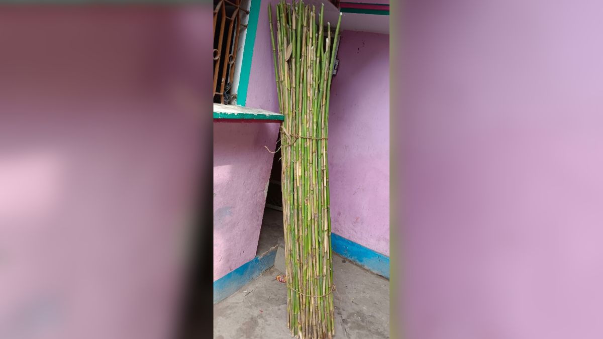 gopalganj bansuri artisans await promised aid flute industry struggles