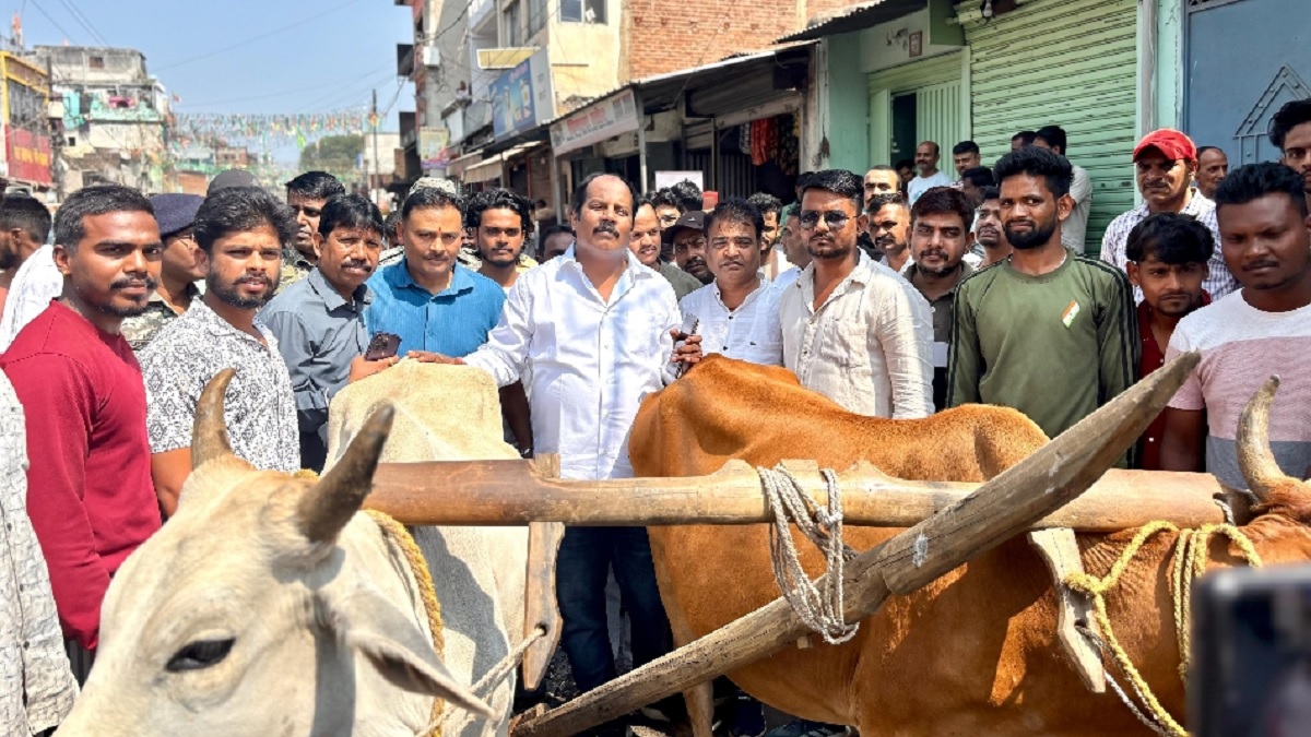 new way to express protest hazaribagh mla came out to plow road with plow and oxen said now there will be struggle from road to house