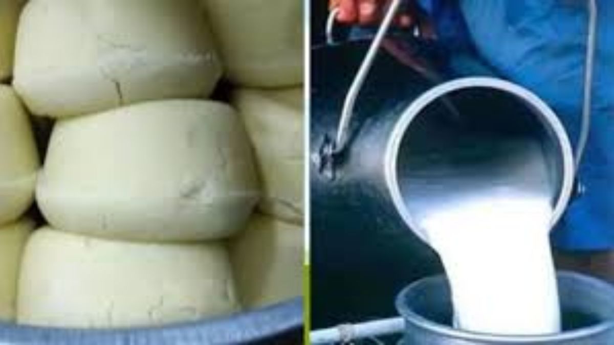 food department alert before diwali milk mawa ice cream samples taken