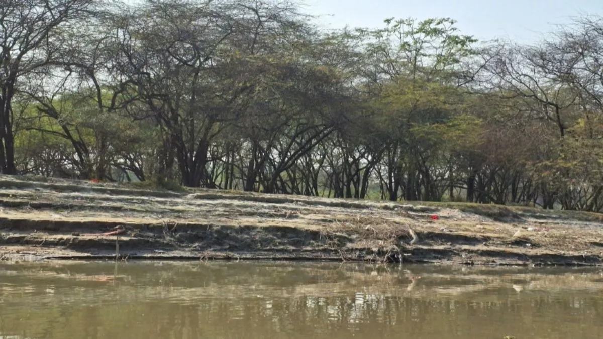 delhi declares 41 sq km of southern ridge as reserved forest area