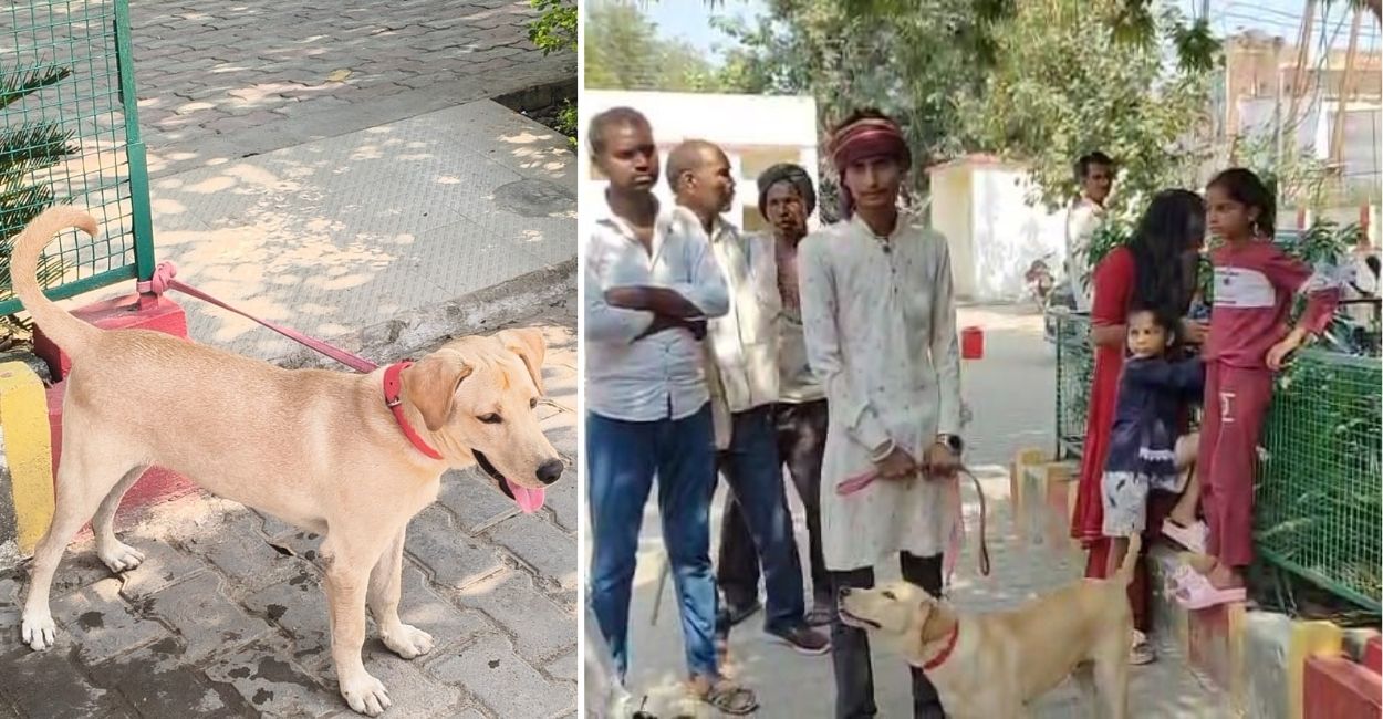 two owners claim same dog in hamirpur police to decide ownership based on evidence and witnesses