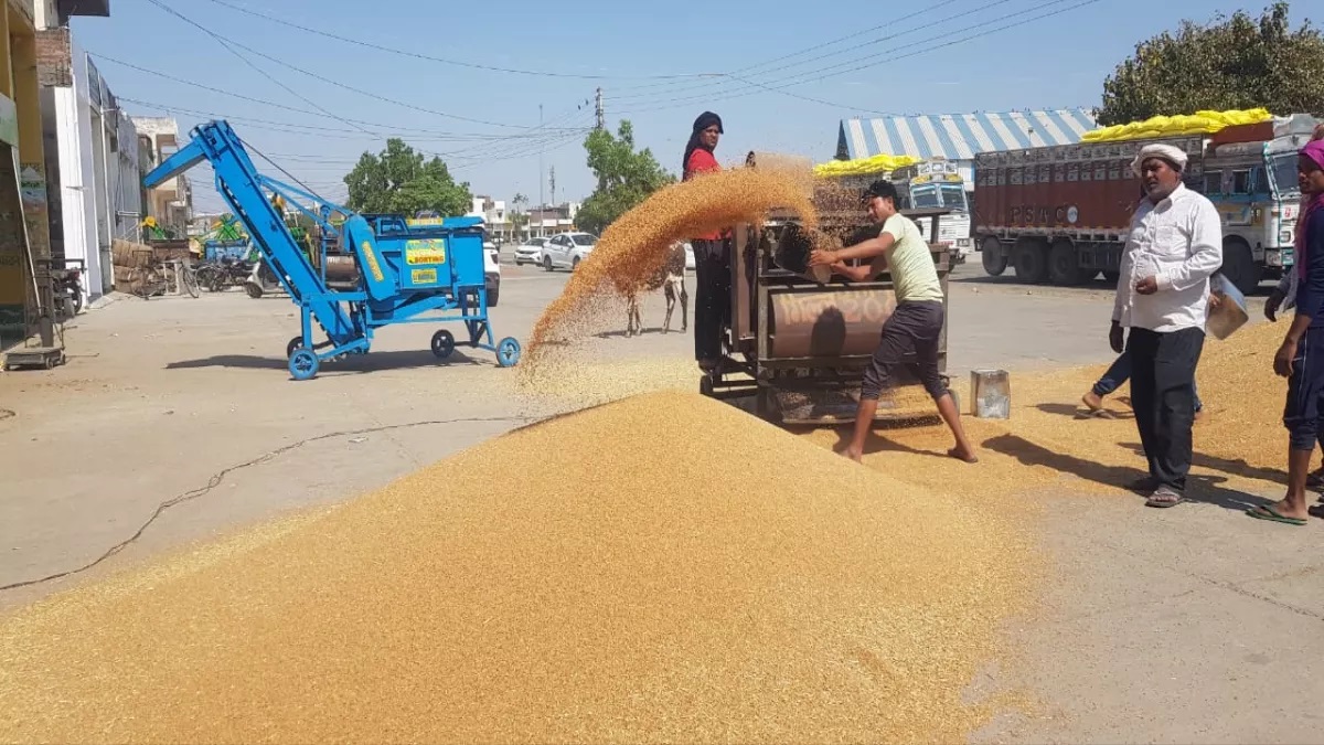 kurukshetra grain markets54 lakh quintals of paddy procured