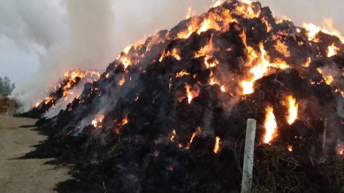 saharanpur news fire in the fuel yard of madhusudan dairy plant creates panic