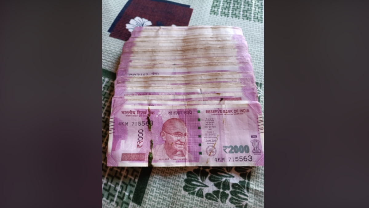 diwali cleanup uncovers treasure 2 lakh worth of 2000 rupee notes found old dth box