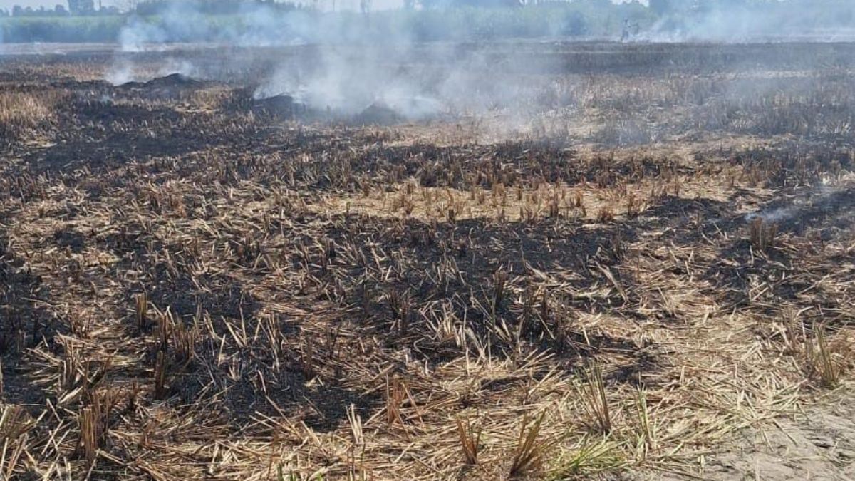 farmer caught burning stubble fined rs 5000