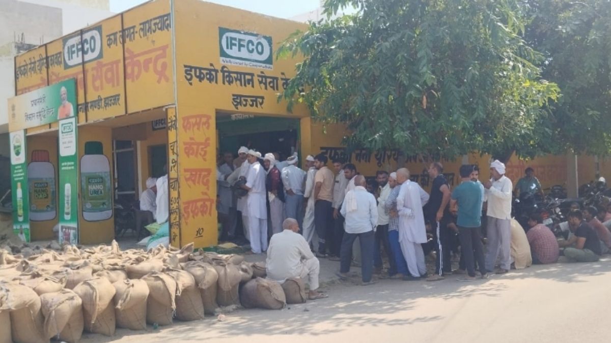 farmers standing in line for wheat seeds came morning four o clock after eight hours seeds were not available