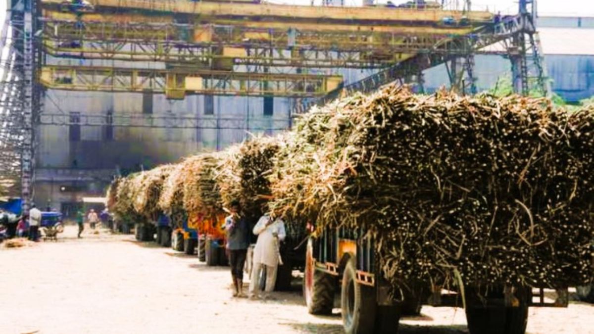good news for sugarcane farmers sugar mills to start crushing soon in sitapur