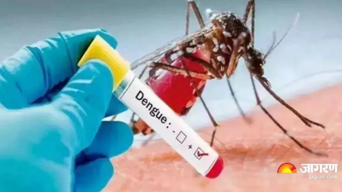 dengue cases surge in ghaziabad over 200 cases reported