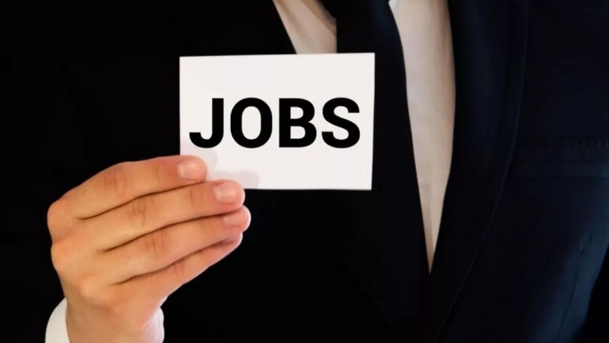 palwal news job fair success 23 youth get jobs