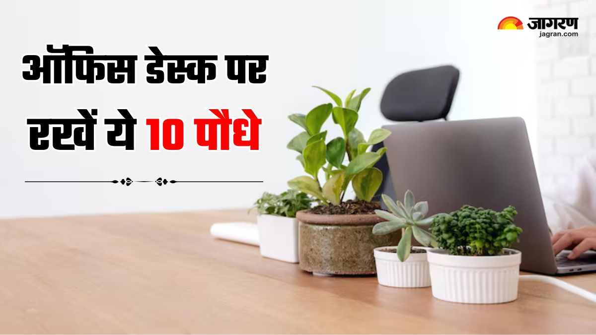 10 small plants to refresh your office desk this diwali 2025