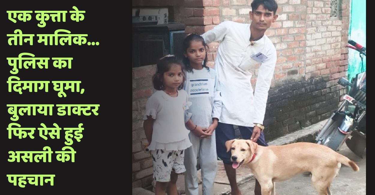 one labrador dog three claimants police call in doctor to identify real owner in hamirpur