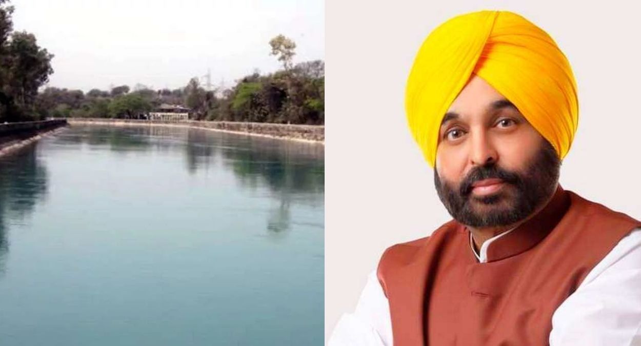 punjab irrigation revolution 84 farmlands irrigated by canal water