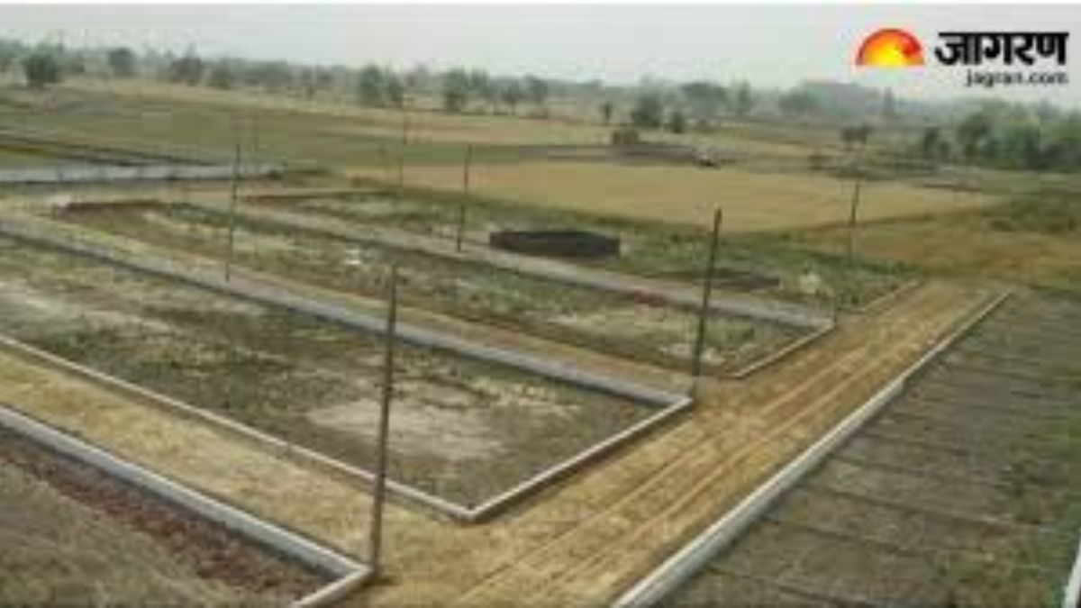 widows land grabbed illegal occupation in banda uttar pradesh