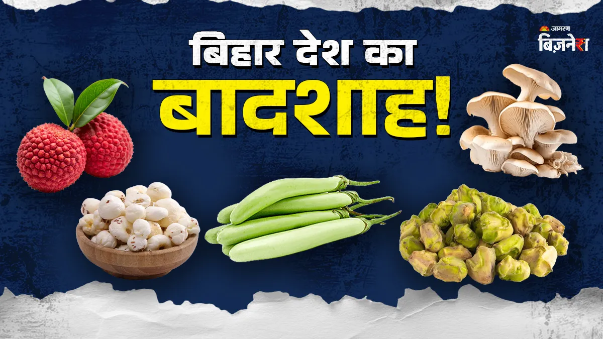 मखाना-लीची ही नहीं, बिहार इन फसलों में भी है देश का बादशाह; कौन-कौन सी फसलें बनाती हैं इसे 'एग्री पॉवरहाउस'?

