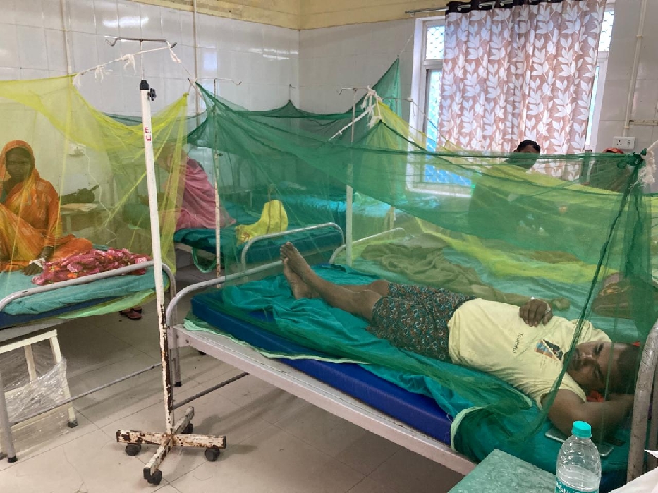 dengue outbreak in up district six new cases reported