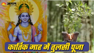 Kartik month 2025 Tulsi puja for lord vishnu blessings