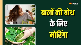 मोरिंगा से मिलेंगे खूबसूरत लंबे बाल (Picture Courtesy: Freepik)