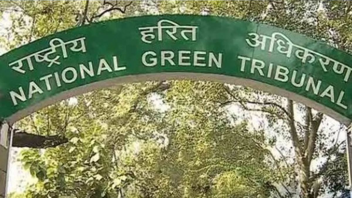 ngt rejects fine demand in delhi tree cutting case