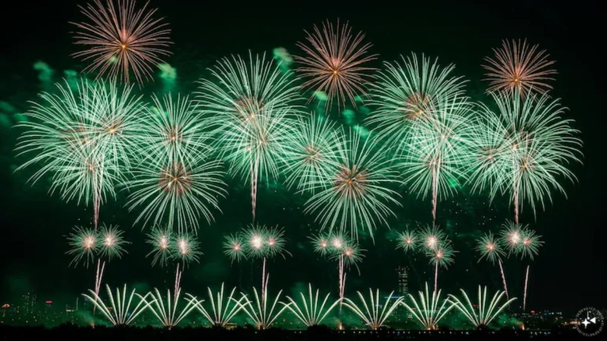 delhi dm to decide green firecracker sale locations sirsa