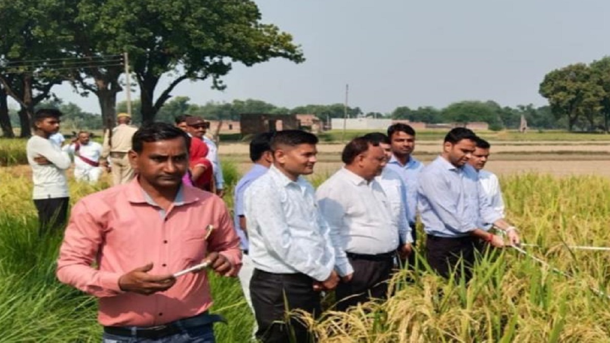 kaushambi dm harvests paddy urges farmers not to burn stubble