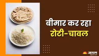 डायबिटीज का खतरा: क्या रोटी और चावल भी हैं जिम्मेदार? (Picture Credit- Freepik)