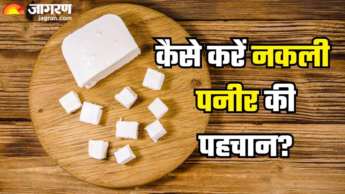 detecting food adulteration tips for milk khoya and paneer