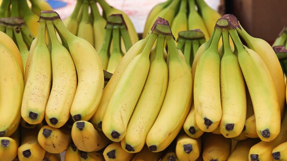 russia increase banana imports from india many other products also under discussion