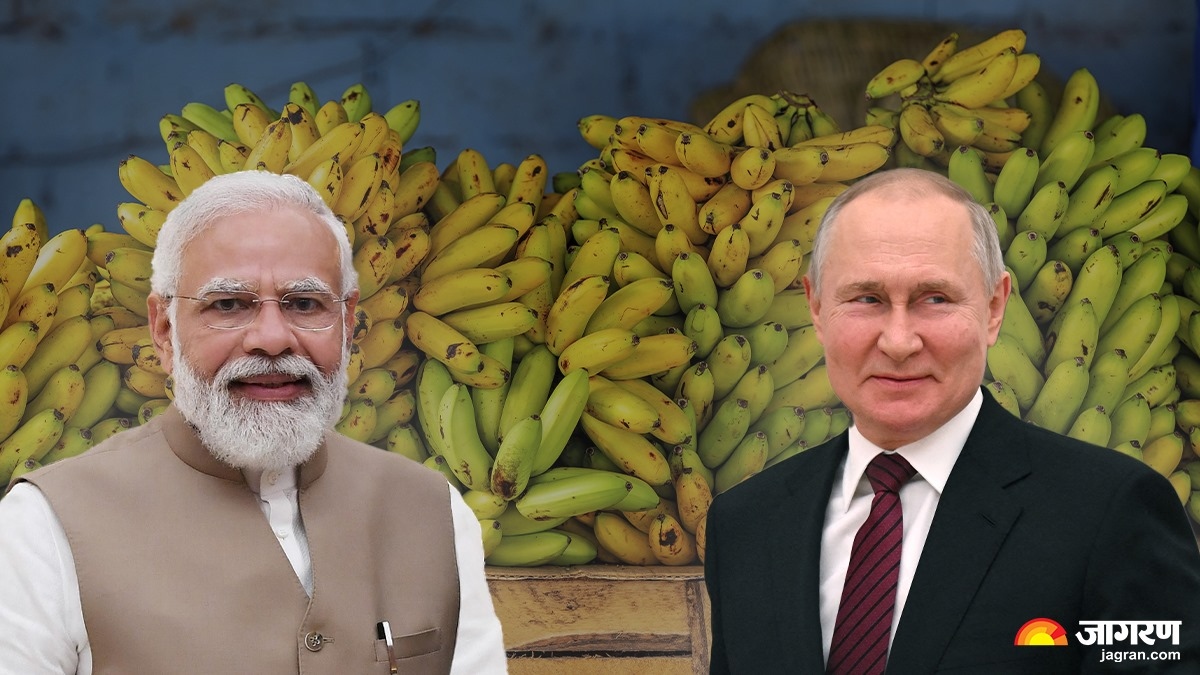 russia increase banana imports from india many other products also under discussion