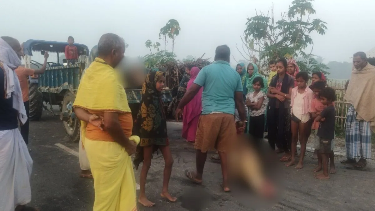 बिहार में दिल दहलाने वाला हादसा, भेड़ों के झुंड में घुसी तेज रफ्तार पिकअप, 35 की मौत
