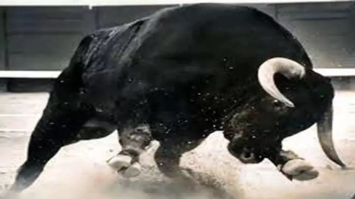 meerut news elderly man dies after bull attack woman injured