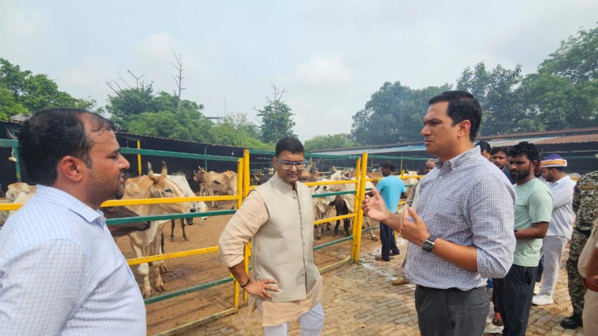 u p government given three new cow shelters to the aligarh municipal corporation