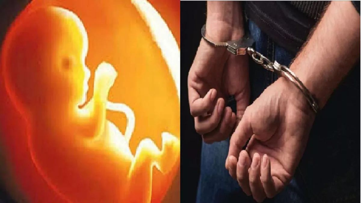 mobile ultrasound scam busted in panipat fetus sex determination racket exposed