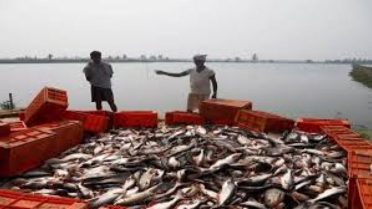 10acre fisheries zone to activate in up district boosting fish farming
