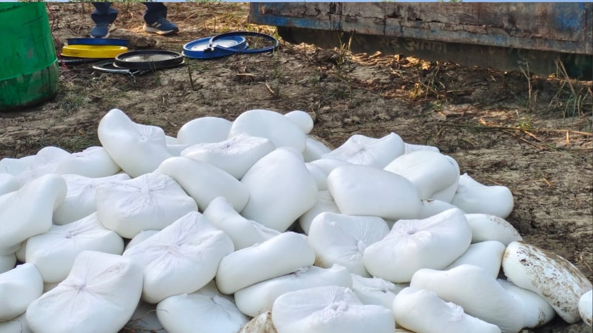 960 kg synthetic paneer seized in up food safety raid before diwali