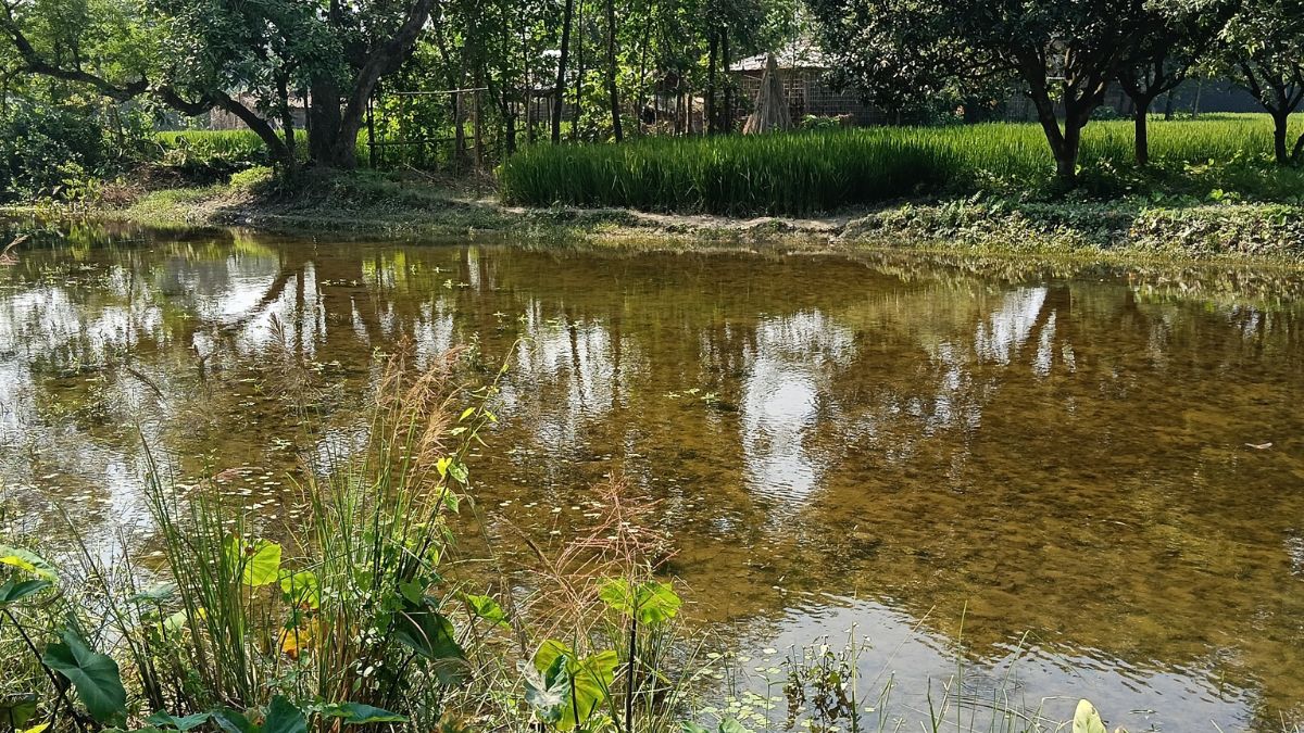 bridge over safa river still awaited residents suffer in supaul