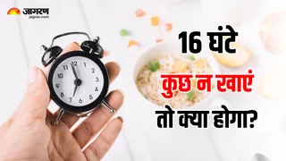 16 घंटे भूखे रहने पर शरीर में क्या होता है? एक्सपर्ट ने बताई अंदर की बात (Image Source: Freepik)