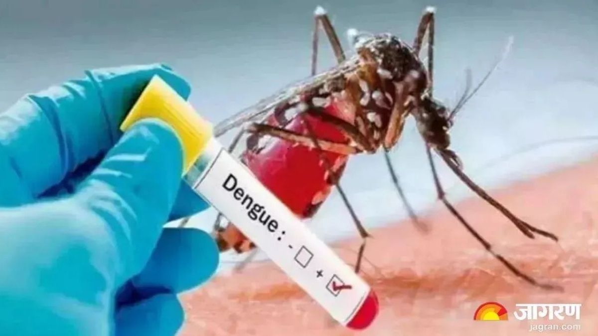 dengue outbreak in ghaziabad 23 new cases in 5 days