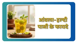 हल्दी और आंवला पानी: सुबह खाली पेट पीने के फायदे (Picture Credit- Freepik)