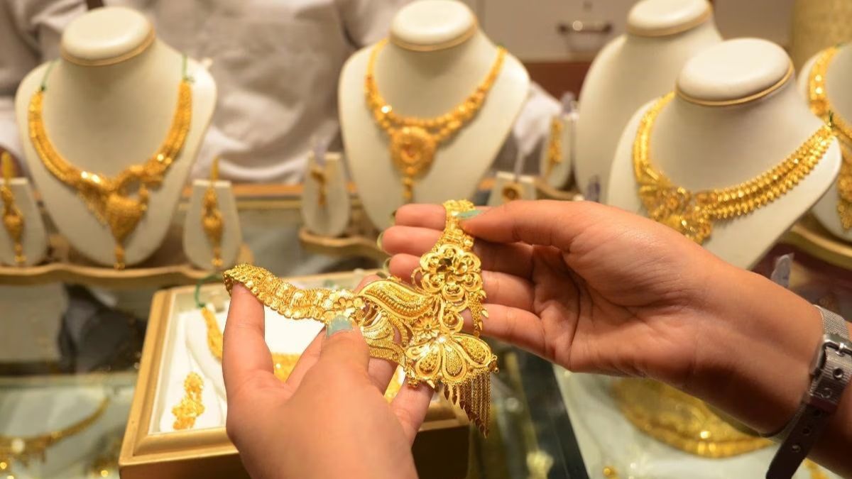 what is 585 purity 14k gold available at rs 74570 per ten gram know its composition