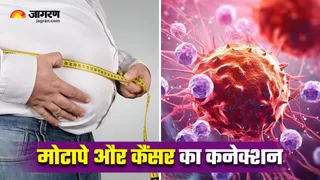 क्या आपका बढ़ता वजन आपको कैंसर की तरफ धकेल रहा है? (Image Source: Freepik)