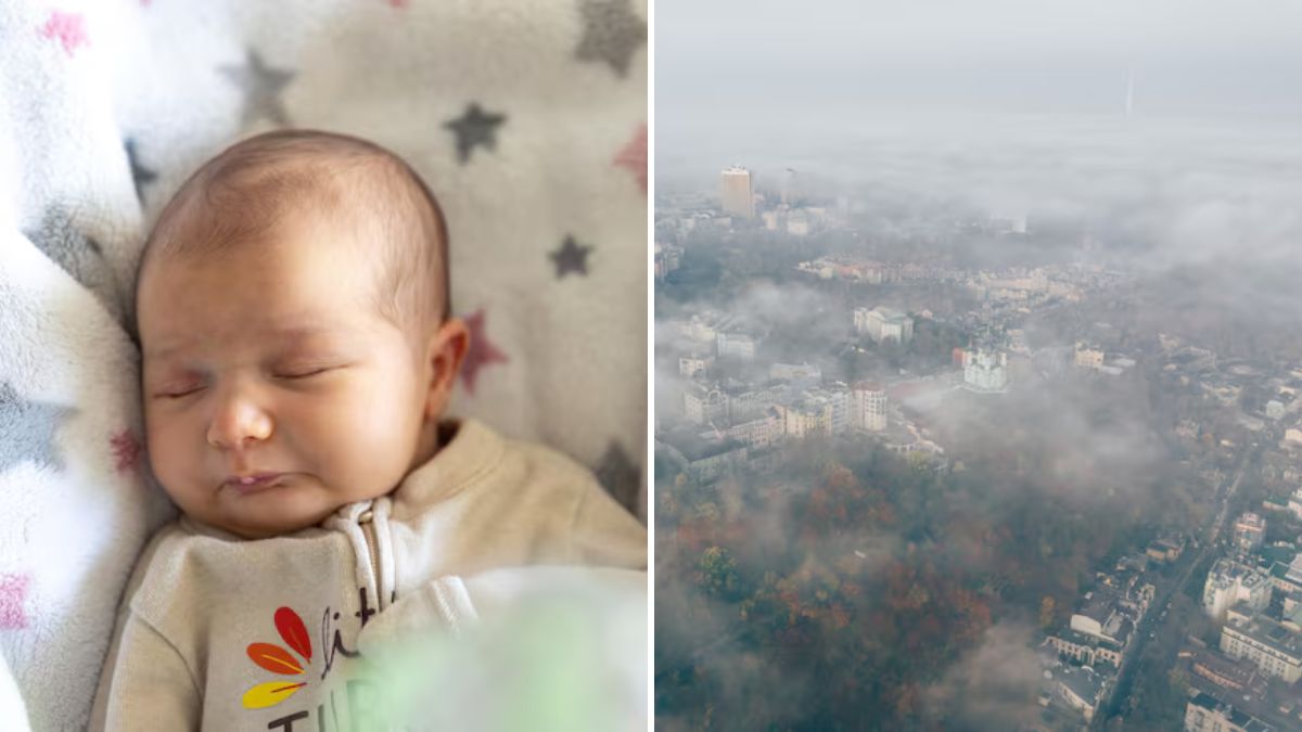 air pollution slows newborn brain development major research reveal