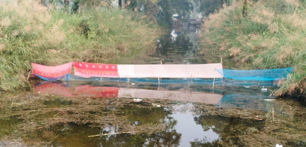 farmers distress fishers negligence drowning rice and sugarcane crops