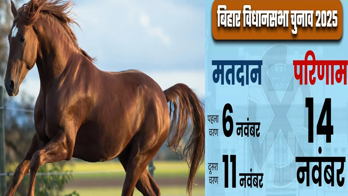 bihar chunav 2025 why horses in more demand in bihar election 2025 know in details