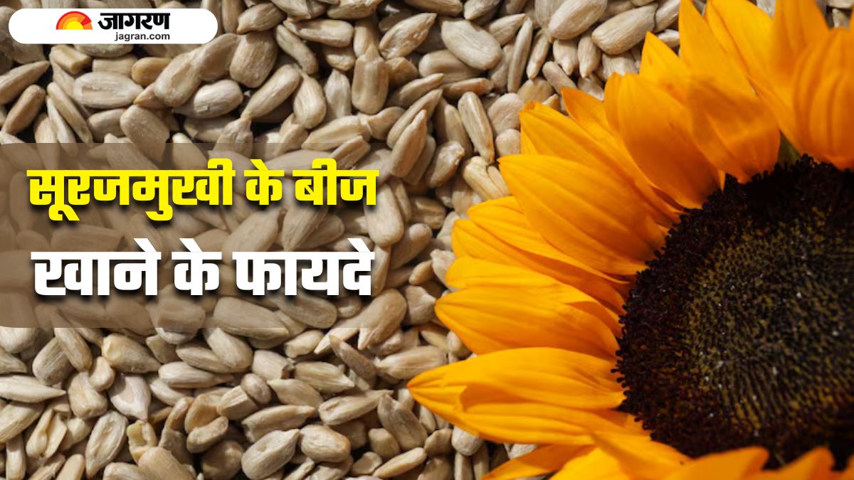 the incredible benefits of eating a handful of sunflower seeds daily