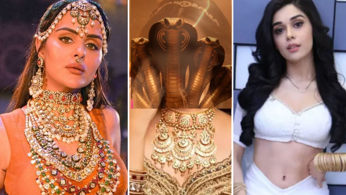 naagin 7 cast not just eisha singh but ex bigg boss contestant alice kaushik also join priyanka chahar choudhary in show reports